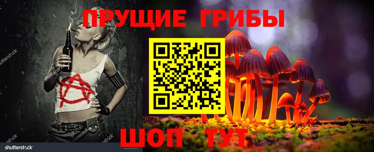 Псилоцибиновые грибы мицелий  сколько стоит  Фрязино  Вход с VPN 