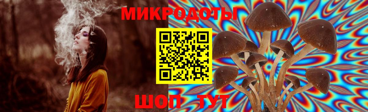 Псилоцибиновые грибы MAGIC MUSHROOMS Фрязино